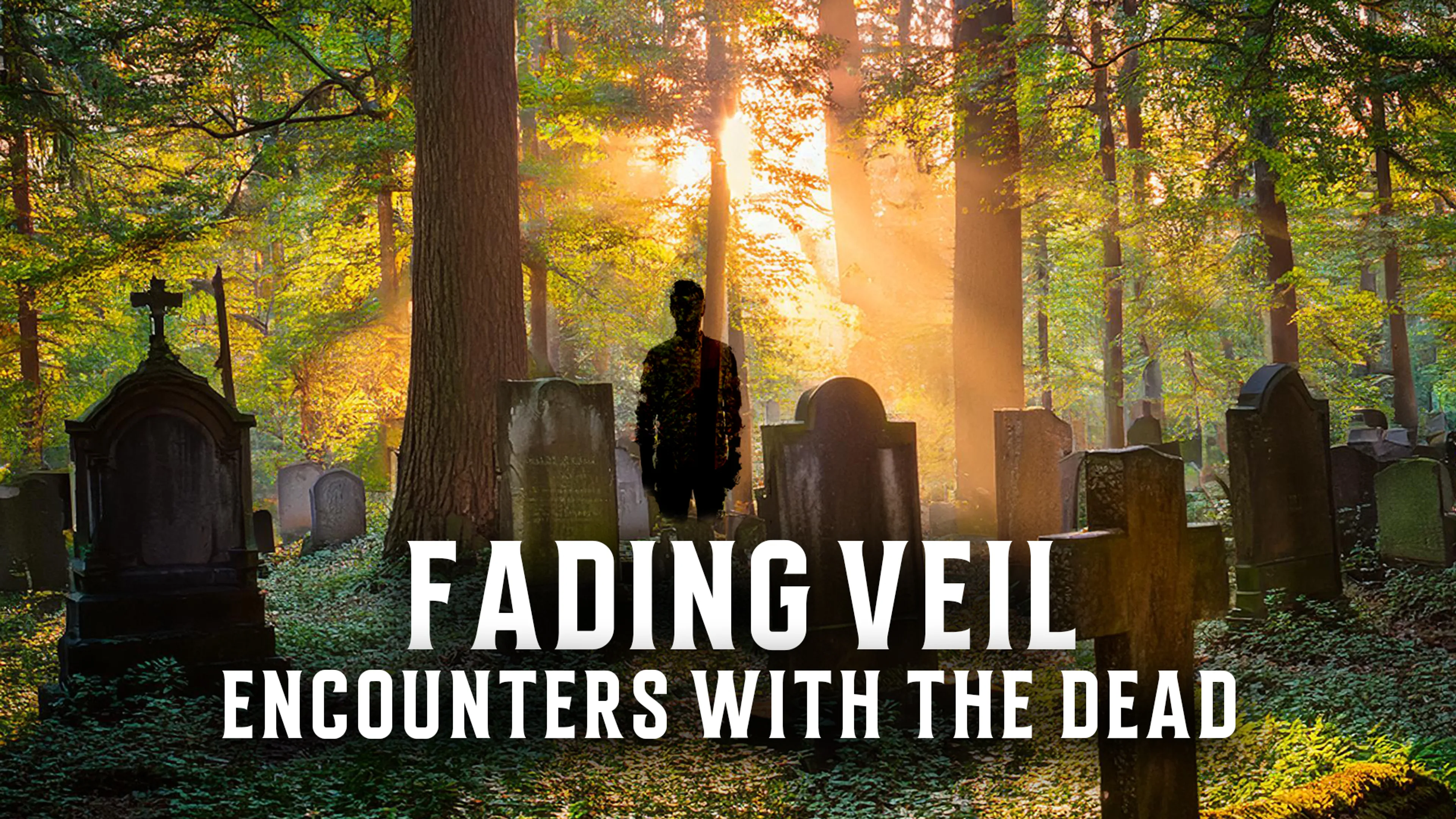 Fading Veil: Encounters with the Dead poster